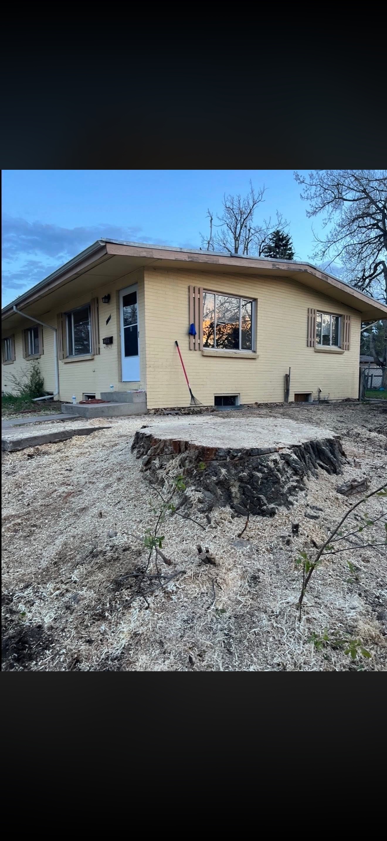 Tree Zen crew on a tree service job