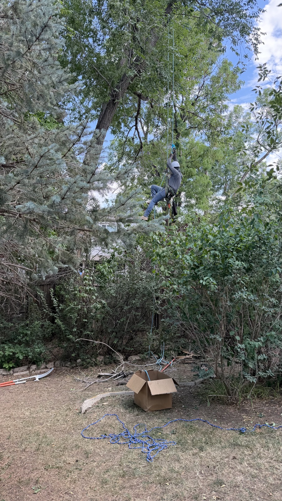 Tree Zen crew smiling with chainsaws on a residential job
